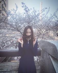 韩国樱花明星,绽放东方的璀璨光芒