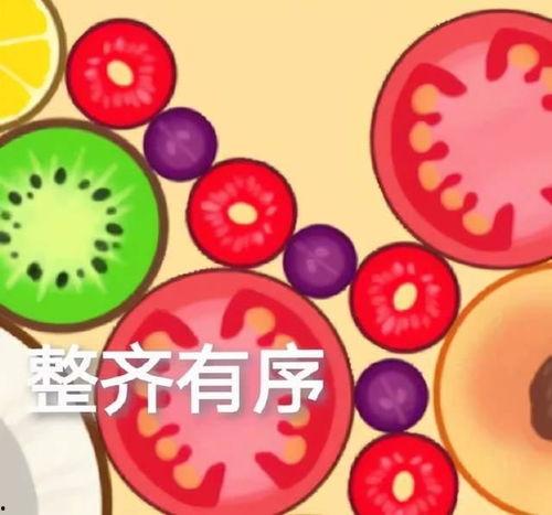 娱乐吃小瓜