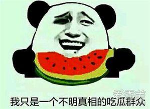 娱乐吃瓜群名叫什么好听,探寻那些独具特色的娱乐吃瓜群名